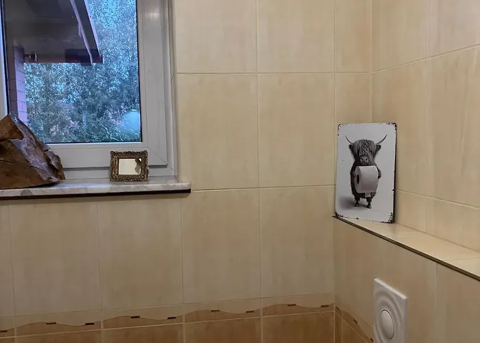 Kaszebe 公寓 Wielki Podles